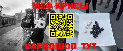 кокс Кингисепп