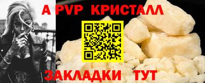 кокс Кингисепп