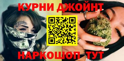 кокс Кингисепп