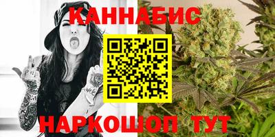 кокс Кингисепп