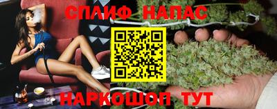 кокс Кингисепп